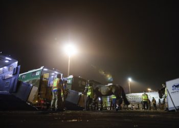 Equine champions fly home on Emirates SkyCargo