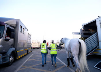 GWC excels in Equestrian Logistics