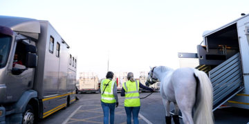 GWC excels in Equestrian Logistics