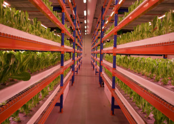 Emirates Flight Catering opens world’s largest vertical farm in Dubai