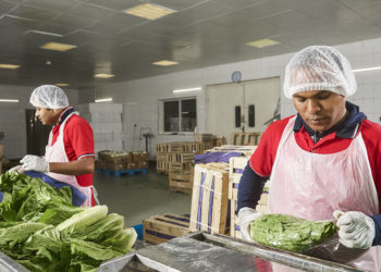 Innovative Food Systems